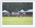 IMG_4797 * 3072 x 2304 * (3.89MB)